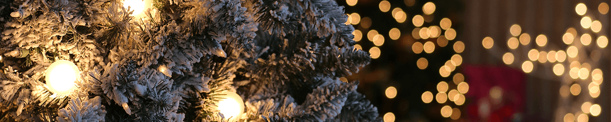 YMCA_Blog_Header_Keeping-the-holidays-real